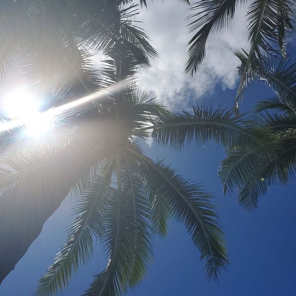 Meet your Posher, Elly - Picture 1 of 1